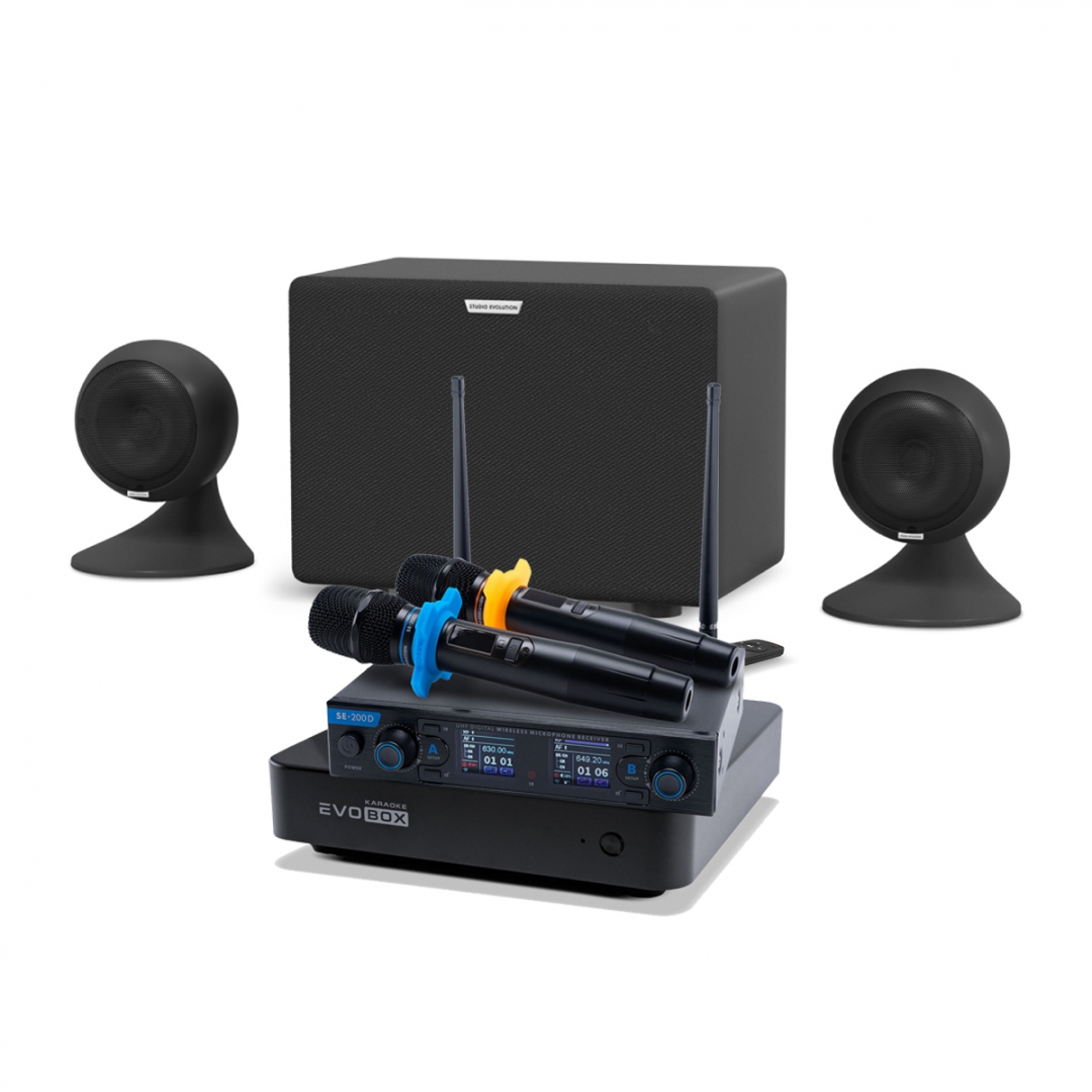 караоке-комплект EVOBOX + EvoSound Sphere 2.1 в Коряжме