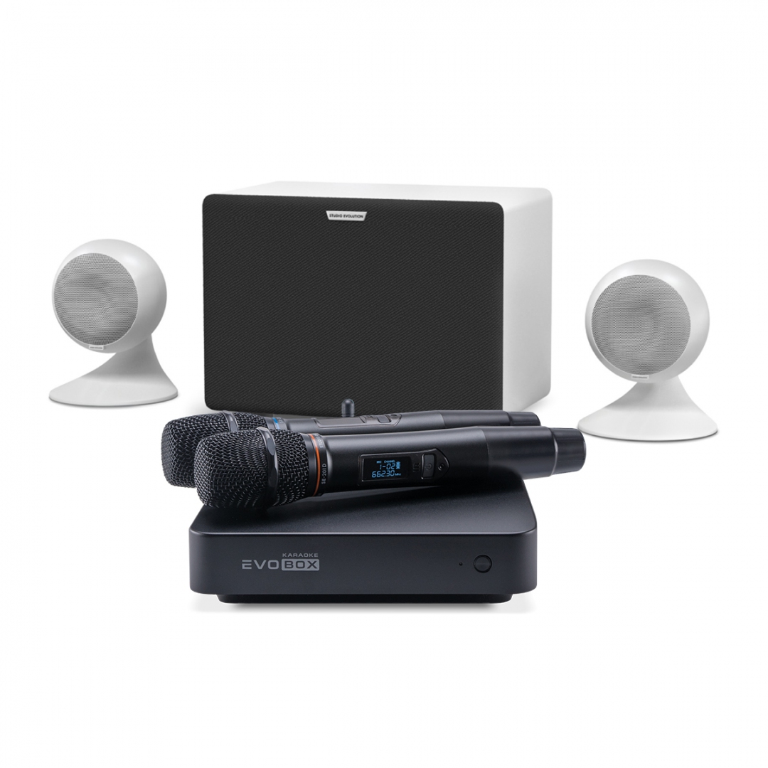 караоке-комплект EVOBOX Classic + EvoSound Sphere 2.1 в Коряжме