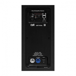 Активная акустическая система AST-312A в Коряжме