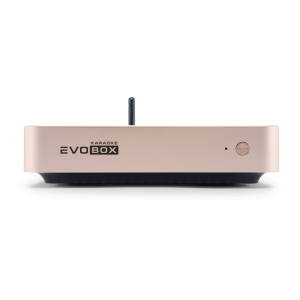 EVOBOX Classic караоке-система для дома в Коряжме