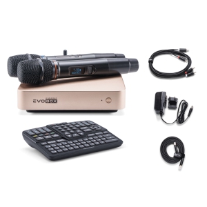 EVOBOX Classic караоке-система для дома в Коряжме