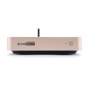 EVOBOX Plus караоке-система для дома в Коряжме